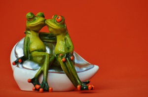 frogs-1250893_640
